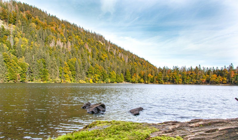 Bild Baden-Württemberg